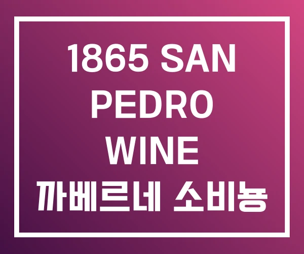 1865 SAN PEDRO WINE 까베르네 소비뇽