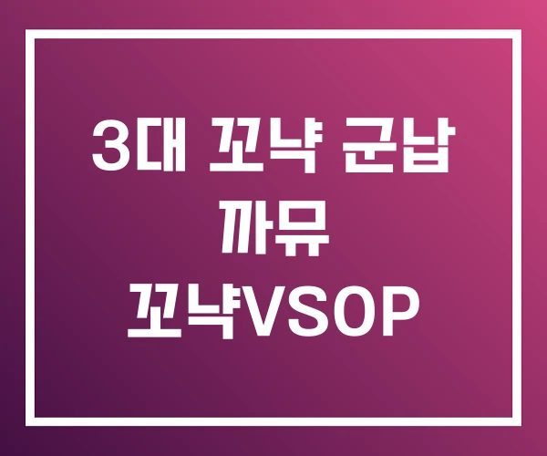 3대 꼬냑 군납 까뮤 꼬냑VSOP 3대 꼬냑 군납 까뮤 꼬냑VSOP