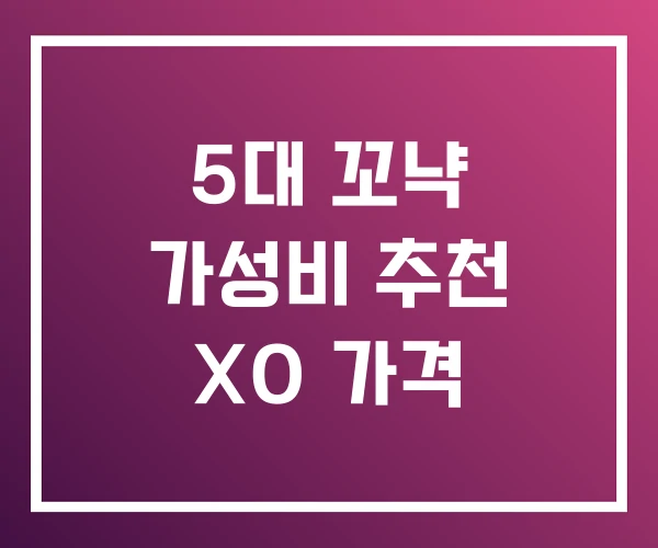 5대 꼬냑 가성비 추천 XO 가격