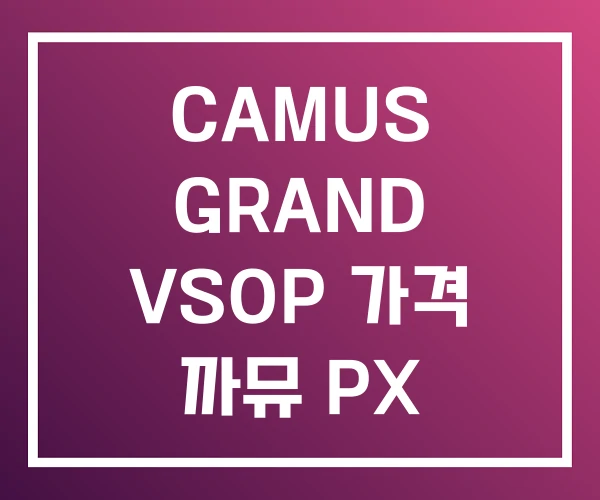 CAMUS GRAND VSOP 가격 까뮤 PX