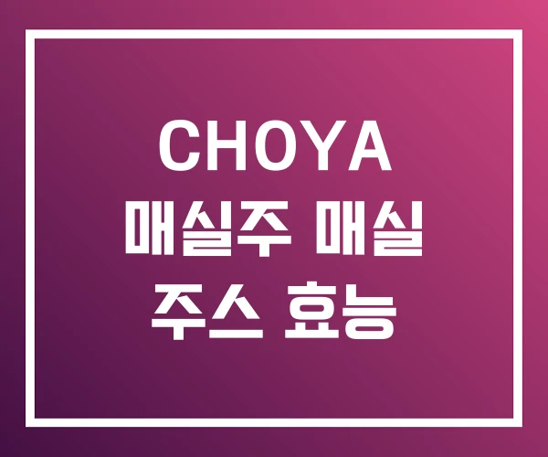 CHOYA 매실주 매실 주스 효능 CHOYA 매실주 매실 주스 효능