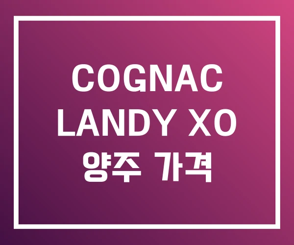 COGNAC LANDY XO 양주 가격 COGNAC LANDY XO 양주 가격