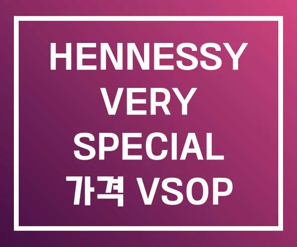 HENNESSY VERY SPECIAL 가격 VSOP HENNESSY VERY SPECIAL 가격 VSOP