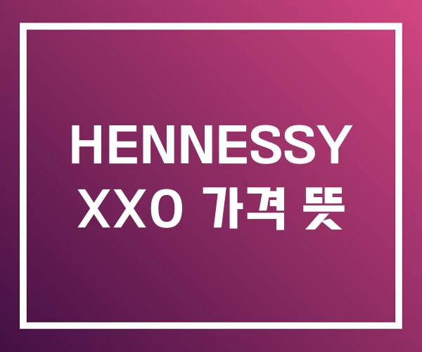 HENNESSY XXO 가격 뜻 HENNESSY XXO 가격 뜻