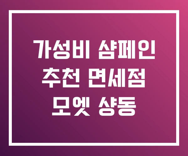 가성비 샴페인 추천 면세점 모엣 샹동