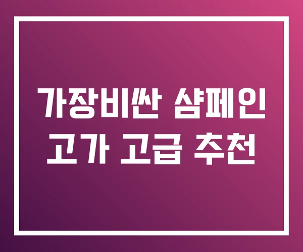 가장비싼 샴페인 고가 고급 추천 가장비싼 샴페인 고가 고급 추천