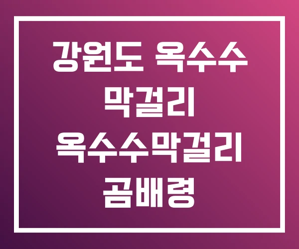 강원도 옥수수 막걸리 옥수수막걸리 곰배령