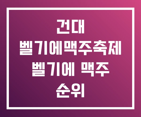 건대 벨기에맥주축제 벨기에 맥주 순위