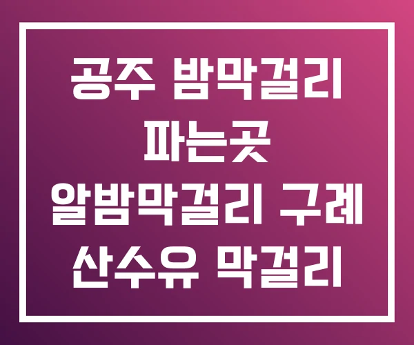 공주 밤막걸리 파는곳 알밤막걸리 구례 산수유 막걸리