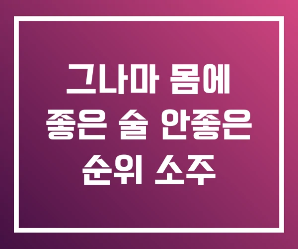 그나마 몸에 좋은 술 안좋은 순위 소주