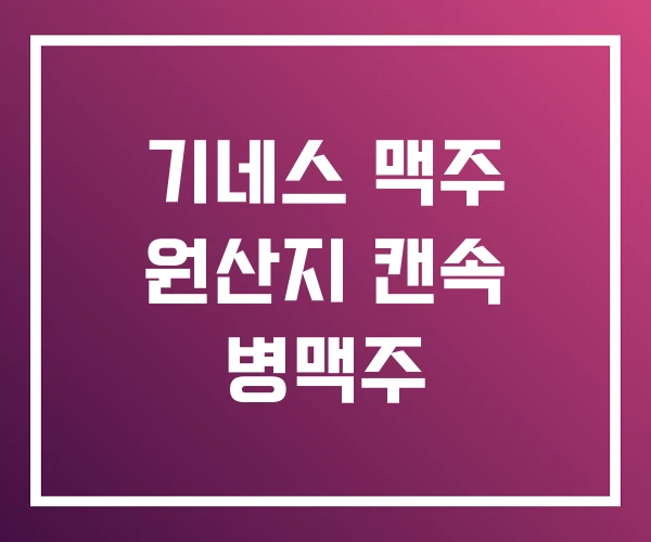 기네스 맥주 원산지 캔속 병맥주