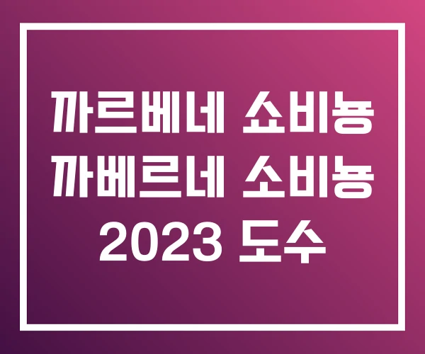 까르베네 쇼비뇽 까베르네 소비뇽 2023 도수 까르베네 쇼비뇽 까베르네 소비뇽 2023 도수