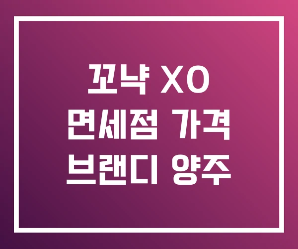 꼬냑 XO 면세점 가격 브랜디 양주 꼬냑 XO 면세점 가격 브랜디 양주