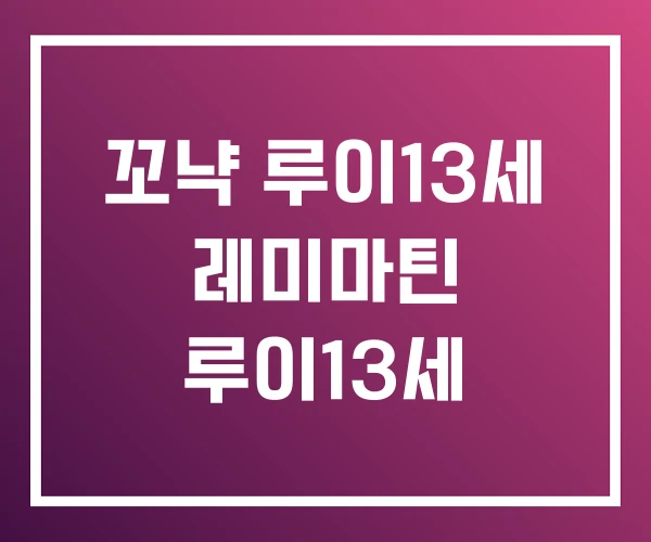 꼬냑 루이13세 레미마틴 루이13세 꼬냑 루이13세 레미마틴 루이13세
