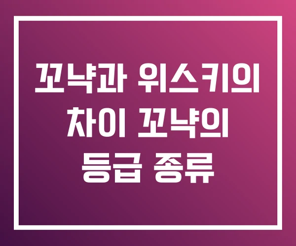 꼬냑과 위스키의 차이 꼬냑의 등급 종류