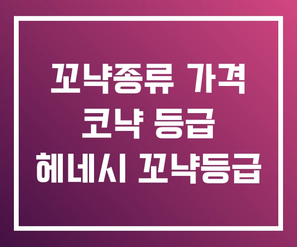 꼬냑종류 가격 코냑 등급 헤네시 꼬냑등급 꼬냑종류 가격 코냑 등급 헤네시 꼬냑등급