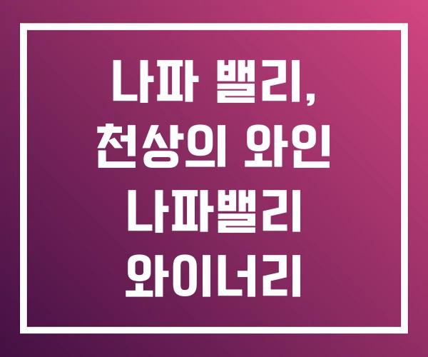 나파 밸리, 천상의 와인 나파밸리 와이너리
