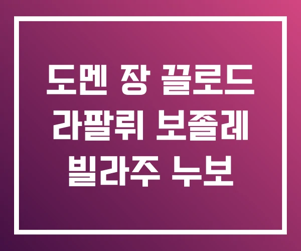 도멘 장 끌로드 라팔뤼 보졸레 빌라주 누보 도멘 장 끌로드 라팔뤼 보졸레 빌라주 누보
