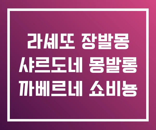 라셰또 장발몽 샤르도네 몽발롱 까베르네 쇼비뇽 라셰또 장발몽 샤르도네 몽발롱 까베르네 쇼비뇽