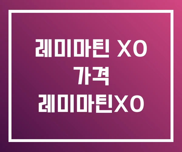 레미마틴 XO 가격 레미마틴XO 레미마틴 XO 가격 레미마틴XO