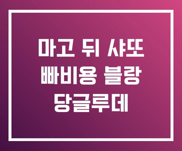 마고 뒤 샤또 빠비용 블랑 당글루데