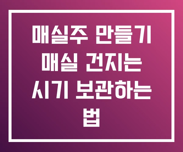매실주 만들기 매실 건지는 시기 보관하는 법 매실주 만들기 매실 건지는 시기 보관하는 법