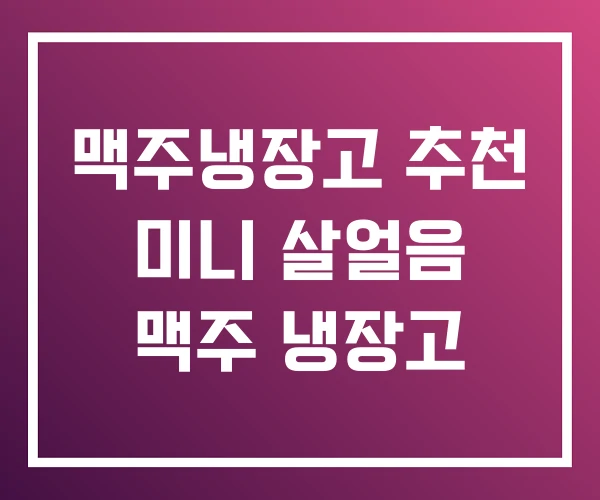 맥주냉장고 추천 미니 살얼음 맥주 냉장고
