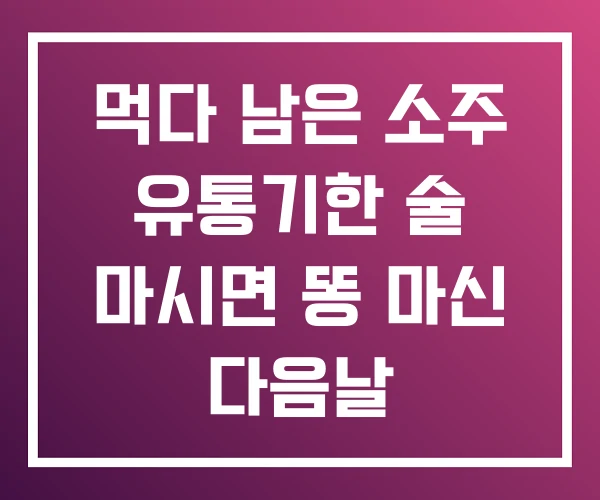 먹다 남은 소주 유통기한 술 마시면 똥 마신 다음날 먹다 남은 소주 유통기한 술 마시면 똥 마신 다음날