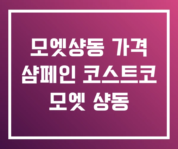 모엣샹동 가격 샴페인 코스트코 모엣 샹동