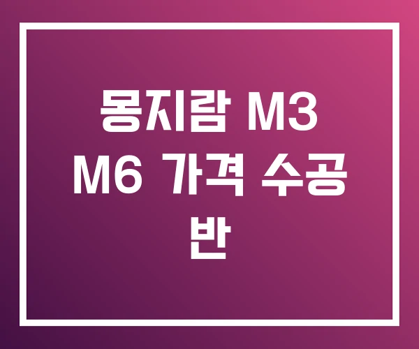 몽지람 M3 M6 가격 수공 반