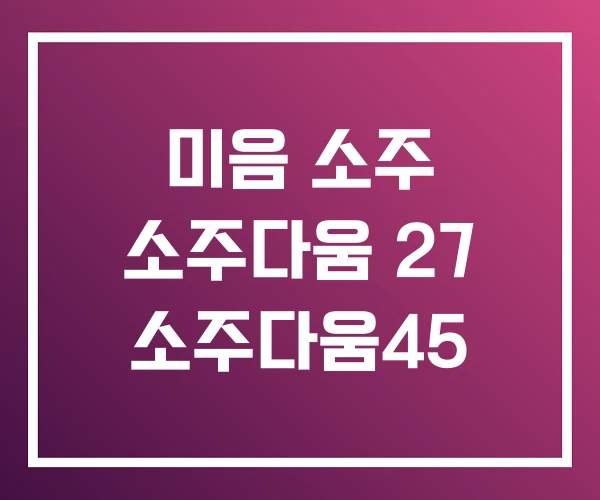 미음 소주 소주다움 27 소주다움45