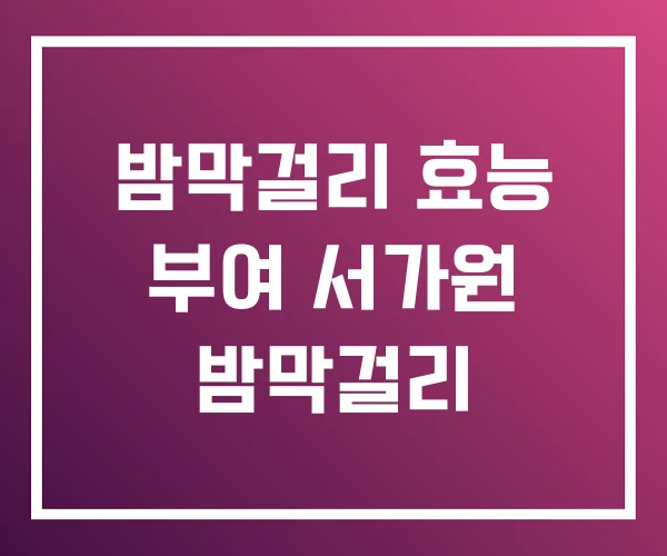 밤막걸리 효능 부여 서가원 밤막걸리