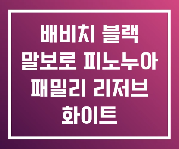 배비치 블랙 말보로 피노누아 패밀리 리저브 화이트