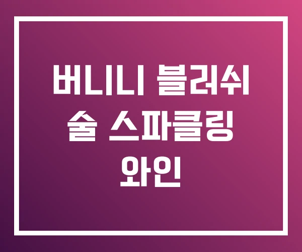 버니니 블러쉬 술 스파클링 와인