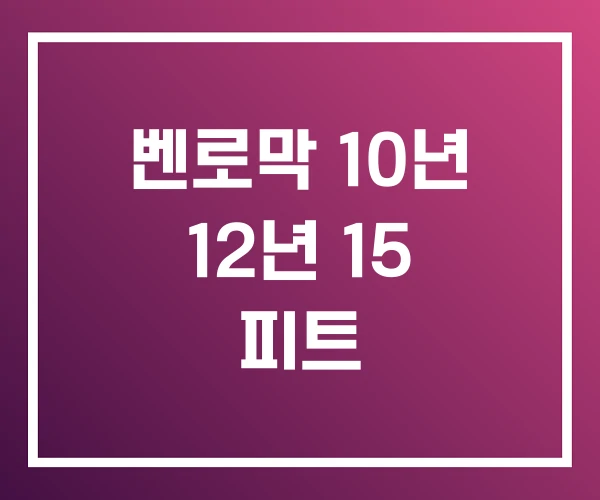 벤로막 10년 12년 15 피트