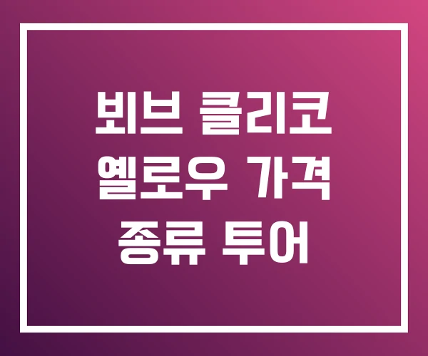 뵈브 클리코 옐로우 가격 종류 투어