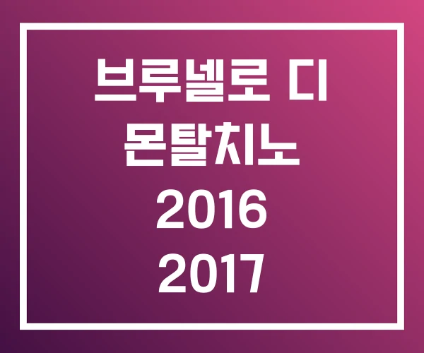 브루넬로 디 몬탈치노 2016 2017 2019 브루넬로 디 몬탈치노 2016 2017 2019