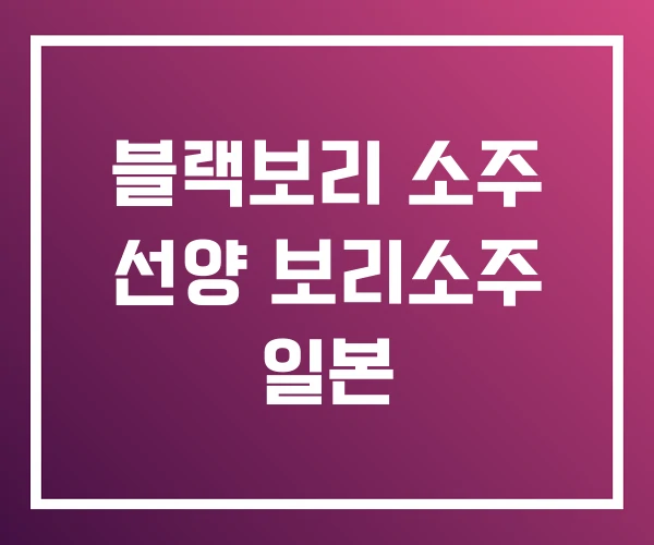 블랙보리 소주 선양 보리소주 일본 블랙보리 소주 선양 보리소주 일본