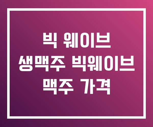 빅 웨이브 생맥주 빅웨이브 맥주 가격 빅 웨이브 생맥주 빅웨이브 맥주 가격