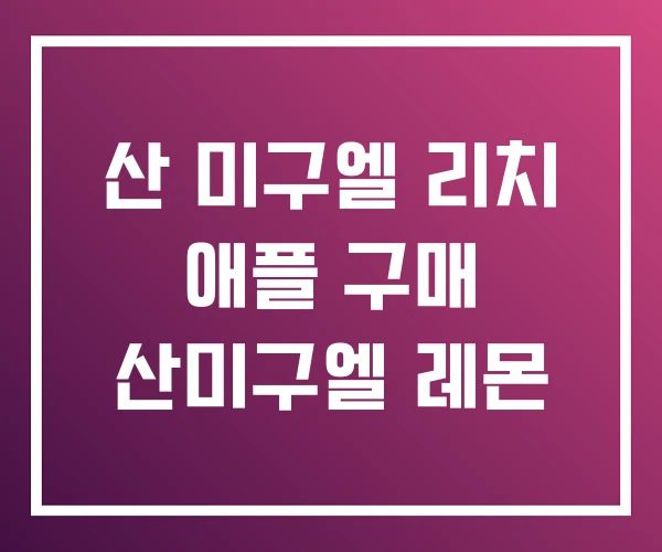 산 미구엘 리치 애플 구매 산미구엘 레몬 산 미구엘 리치 애플 구매 산미구엘 레몬