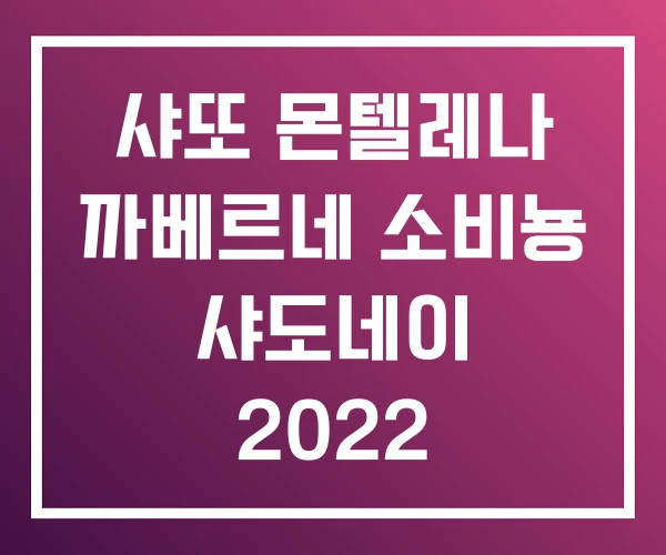 샤또 몬텔레나 까베르네 소비뇽 샤도네이 2022