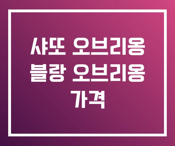 샤또 오브리옹 블랑 오브리옹 가격 샤또 오브리옹 블랑 오브리옹 가격