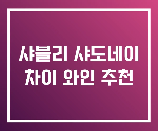 샤블리 샤도네이 차이 와인 추천