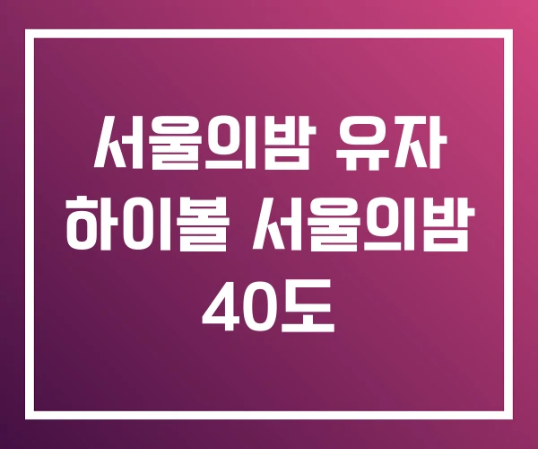 서울의밤 유자 하이볼 서울의밤 40도 서울의밤 유자 하이볼 서울의밤 40도