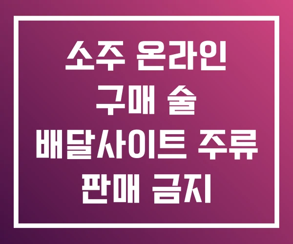 소주 온라인 구매 술 배달사이트 주류 판매 금지
