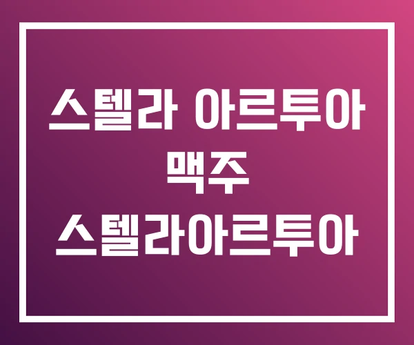 스텔라 아르투아 맥주 스텔라아르투아 스텔라 아르투아 맥주 스텔라아르투아