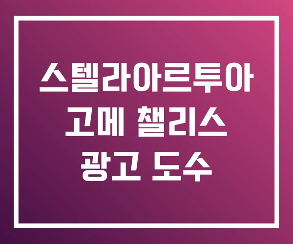 스텔라아르투아 고메 챌리스 광고 도수