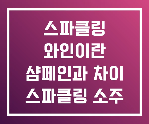 스파클링 와인이란 샴페인과 차이 스파클링 소주