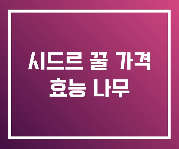 시드르 꿀 가격 효능 나무 시드르 꿀 가격 효능 나무
