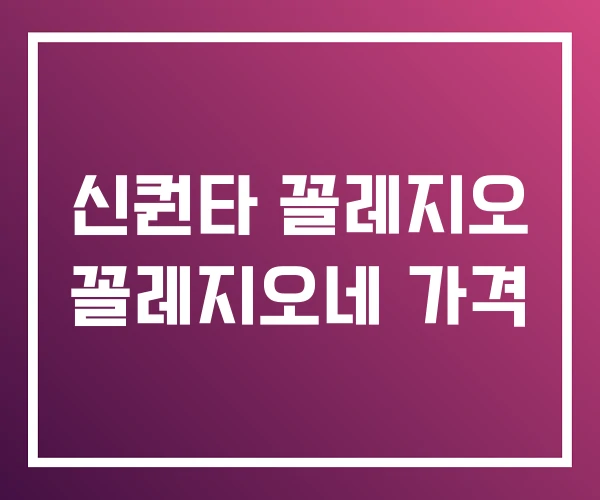 신퀀타 꼴레지오 꼴레지오네 가격 신퀀타 꼴레지오 꼴레지오네 가격
